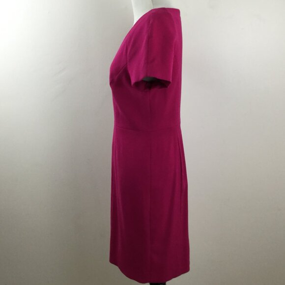 The Limited Raspberry Dress 4 - Picture 4 of 9